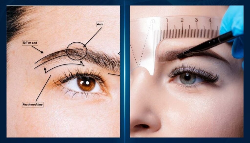 eyebrow transplant cost