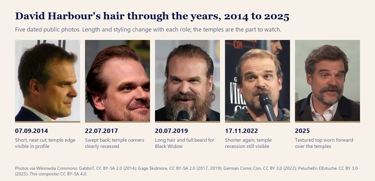 David Harbour hair through the years from 2014 to 2025