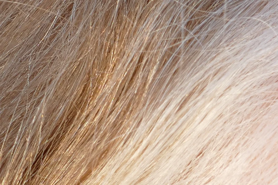 Close-up of blond hair with gray and white strands growing through it