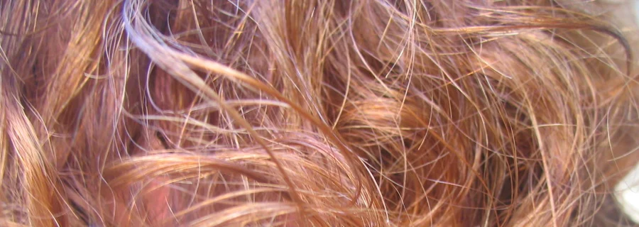 Close-up of curly red hair