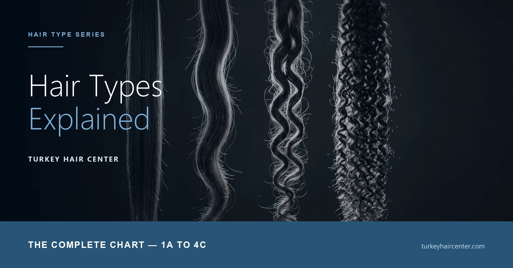 Types de cheveux : Les 12 types de boucles, de 1A à 4C