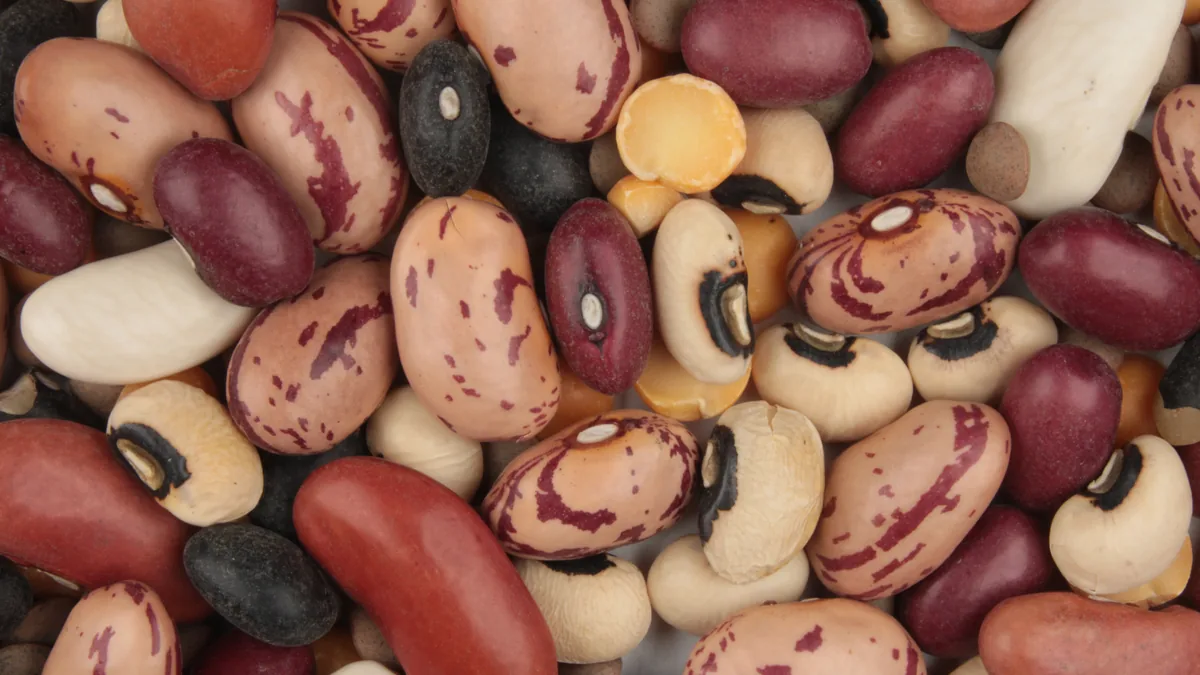 Close view of dry uncooked red, pinto, cannellini and black beans mixed with peas and lentils