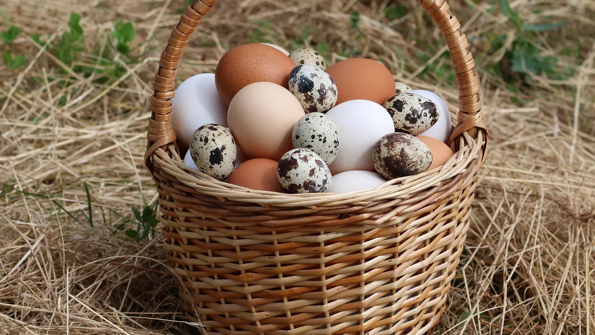 Wicker basket on straw filled with brown and white chicken eggs and speckled quail eggs