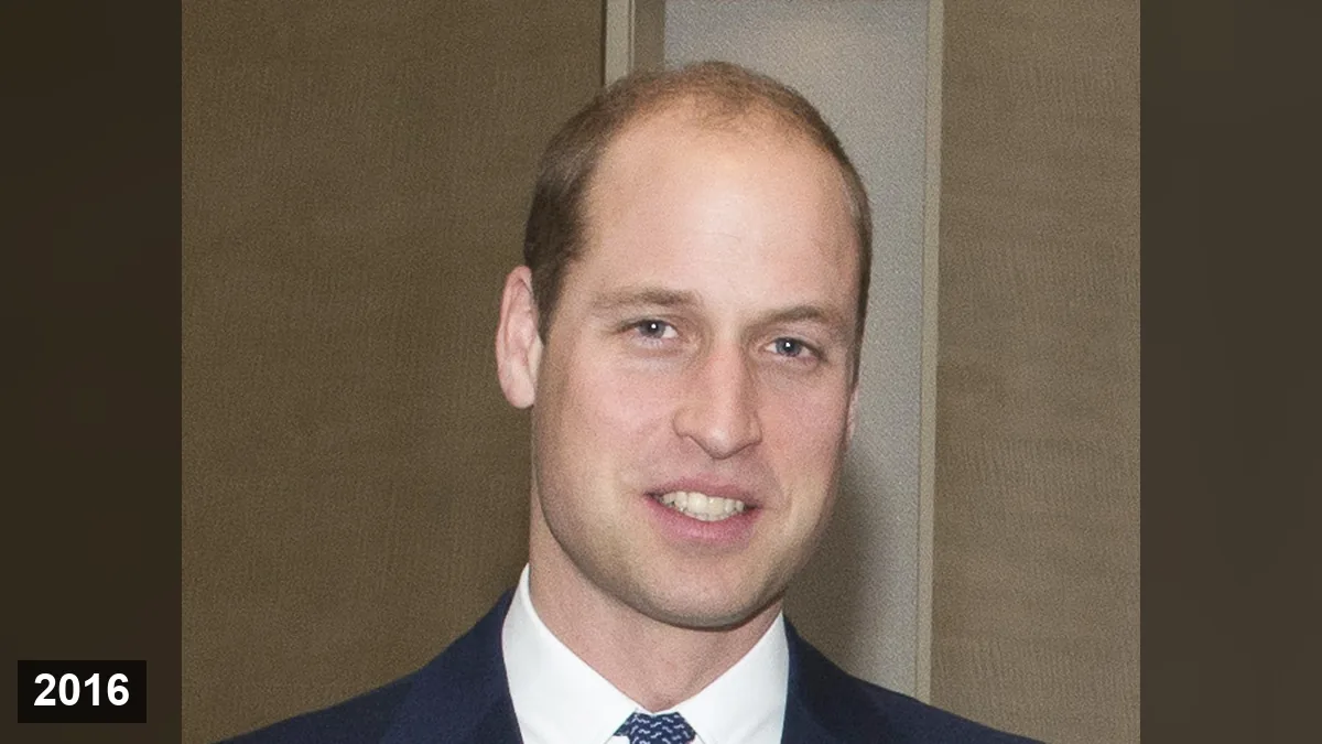 Le prince William, frère aîné de Harry, en novembre 2016