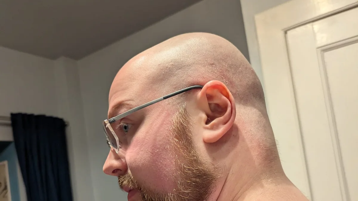 Side view of a man with a freshly shaved head, glasses and a full beard