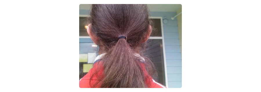 A ponytail held by an elastic hair tie, seen from behind