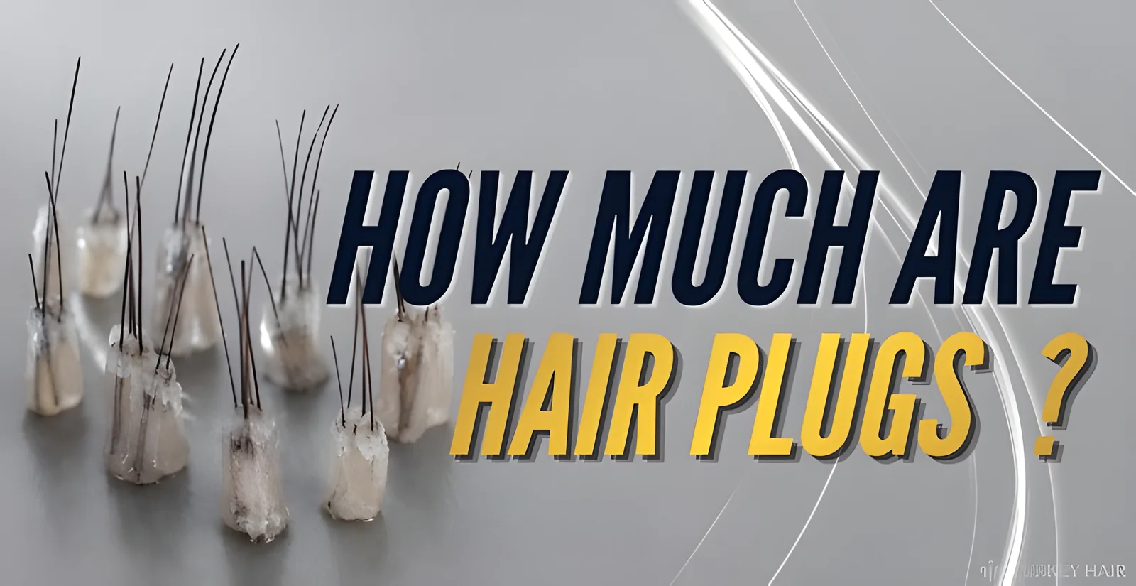 How Much Are Hair Plugs? Cost, Grafts & Modern Alternatives
